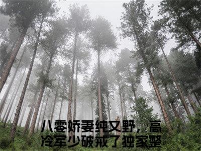 【新书】《八零娇妻纯又野，高冷军少破戒了》姜梵音沈寒年全文全章节免费阅读