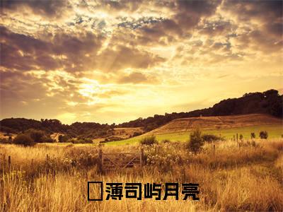 他再等不来月亮小说全文免费阅读_（薄司屿月亮）他再等不来月亮最新章节列表笔趣阁