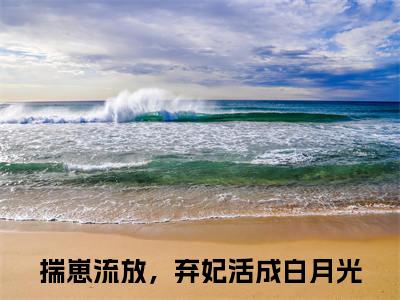 揣崽流放，弃妃活成白月光小说全文免费阅读_裴恒谢晚意（揣崽流放，弃妃活成白月光）最新章节列表笔趣阁