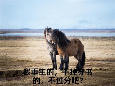 沈蓉长生（我重生的，干掉穿书的，不过分吧？小说）小说全文免费阅读_我重生的，干掉穿书的，不过分吧？小说下载_最新章节列表笔趣阁（沈蓉长生）