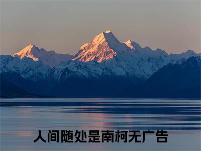 人间随处是南柯多人推荐-好看的小说裴司湛江云宁完整版免费阅读
