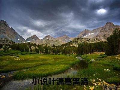 叶潇寒离洛小说（契约娇妻：冰山总裁宠上瘾）全文免费阅读无弹窗大结局_叶潇寒离洛小说最新章节列表_笔趣阁