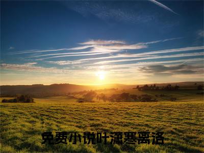 契约娇妻：冰山总裁宠上瘾（叶潇寒离洛）小说全文-契约娇妻：冰山总裁宠上瘾无弹窗免费阅读