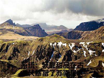 系统：我靠甜品在古代暴富了苏南星（系统：我靠甜品在古代暴富了苏南星最新全章节大结局）全文阅读