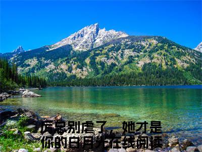 厉寒年阮颜（厉总别虐了，她才是你的白月光）全文免费阅读无弹窗大结局_（厉总别虐了，她才是你的白月光）的小说（厉寒年阮颜）最新章节列表