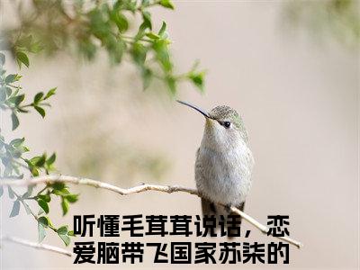 听懂毛茸茸说话，恋爱脑带飞国家苏柒（听懂毛茸茸说话，恋爱脑带飞国家苏柒）全文免费阅读无弹窗大结局_听懂毛茸茸说话，恋爱脑带飞国家苏柒全文阅读最新章节列表_笔趣阁（听懂毛茸茸说话，恋爱脑带飞国家苏柒）