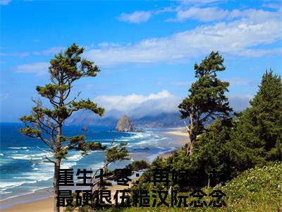 重生七零：再嫁全村最硬退伍糙汉阮念念全集完整版大结局-重生七零：再嫁全村最硬退伍糙汉阮念念小说在线赏析