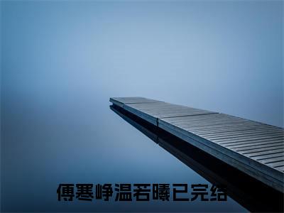 精选小说傅寒峥温若曦（傅寒峥温若曦）全本阅读_傅寒峥温若曦免费阅读_笔趣阁