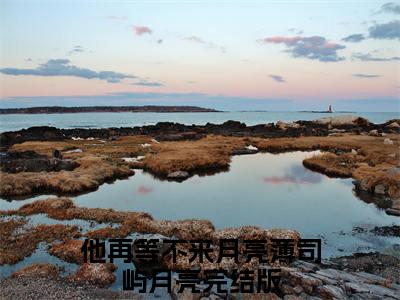 他再等不来月亮小说（薄司屿月亮）全文在线阅读无弹窗大结局他再等不来月亮