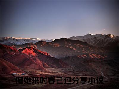 偏她来时春已过（肖谨川周薇）小说免费在线阅读_偏她来时春已过全本免费小说阅读（肖谨川周薇）