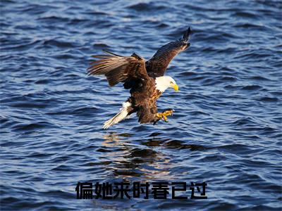 肖谨川周薇全文免费阅读无弹窗大结局_（偏她来时春已过小说）肖谨川周薇最新章节列表笔趣阁（偏她来时春已过）