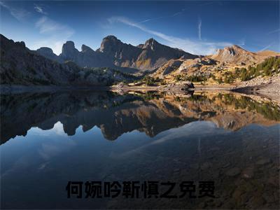 何婉吟靳慎之在哪免费看 何婉吟靳慎之结局是什么（何婉吟靳慎之）小说无弹窗免费阅读