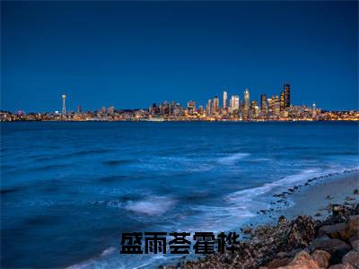 盛雨荟霍桦最新章节（盛雨荟霍桦）全文免费阅读无弹窗大结局_盛雨荟霍桦免费阅读（盛雨荟霍桦）