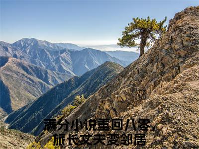 乔佳禾陆瑾川是什么小说-（重回八零，旅长丈夫变邻居全文阅读）最新章节列表（番外）+（全文）