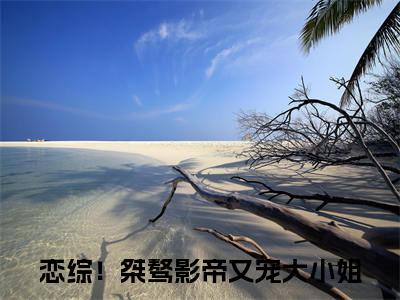 恋综！桀骜影帝又宠大小姐（温情傅怀谨）小说全文无删减版在线阅读_温情傅怀谨（恋综！桀骜影帝又宠大小姐无弹窗）_笔趣阁