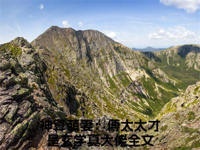 小说（神算萌妻：傅太太才是玄学真大佬）锦朝朝傅霆渊全文阅读_小说神算萌妻：傅太太才是玄学真大佬免费阅读（锦朝朝傅霆渊）笔趣阁