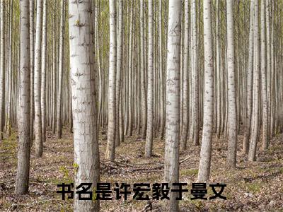 爱在极光散落时（许宏毅于曼文小说）最新在线阅读_许宏毅于曼文小说免费阅读