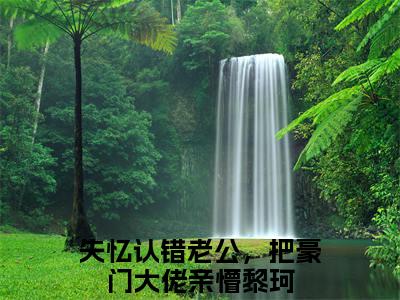 失忆认错老公，把豪门大佬亲懵黎珂全本小说无弹窗阅读-失忆认错老公，把豪门大佬亲懵黎珂（失忆认错老公，把豪门大佬亲懵黎珂）精彩热门小说