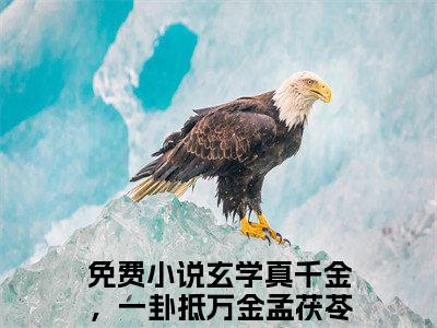 玄学真千金，一卦抵万金孟茯苓小说好看吗-玄学真千金，一卦抵万金孟茯苓热门小说大结局阅读