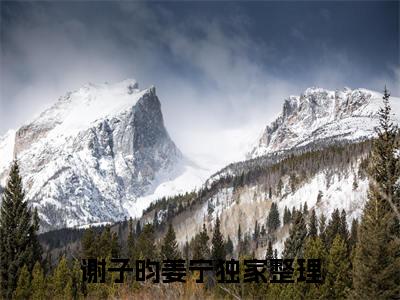 （谢子昀姜宁）守寡重生，清冷权臣帐中宠锦瑟全文免费阅读无弹窗_（守寡重生，清冷权臣帐中宠锦瑟小说免费阅读）最新章节列表笔趣阁