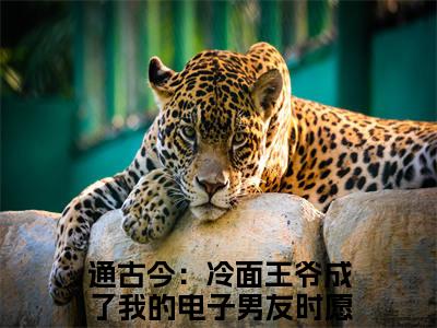 通古今：冷面王爷成了我的电子男友时愿小说全文免费阅读无弹窗-通古今：冷面王爷成了我的电子男友时愿小说全文在线赏析(今日更新最新章节)