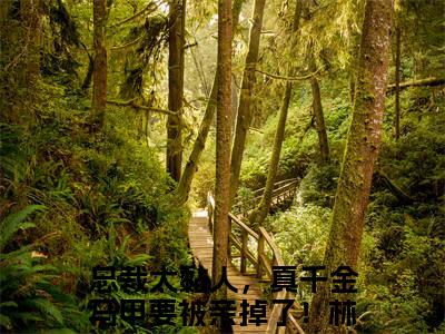 总裁太黏人，真千金马甲要被亲掉了！林念全本资源免费阅读结局无删节-总裁太黏人，真千金马甲要被亲掉了！林念小说全文阅读无弹窗