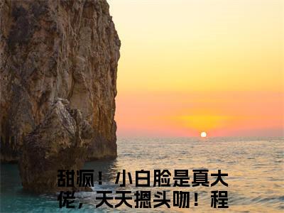 甜疯！小白脸是真大佬，天天摁头吻！程翊夏小说小说全文免费阅读（甜疯！小白脸是真大佬，天天摁头吻！程翊夏）全文免费甜疯！小白脸是真大佬，天天摁头吻！程翊夏读无弹窗大结局