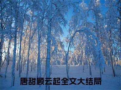 唐甜顾云起（唐甜顾云起）小说全文免费阅读_（唐甜顾云起）小说全文无删减版在线阅读
