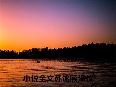 苏冰顾泽仪长篇小说免费阅读-小说最新试读
