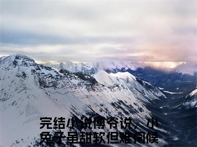 傅爷说，小兔子虽甜软但难伺候陆绵精彩小说傅爷说，小兔子虽甜软但难伺候陆绵大结局全本免费阅读