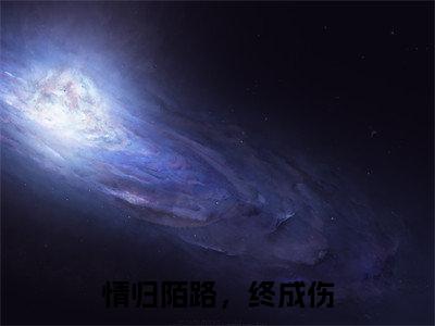 情归陌路，终成伤（付景书陈心安）全文免费阅读_情归陌路，终成伤言诺诺，井傅宸小说最新章节列表笔趣阁