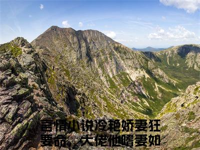 冷艳娇妻狂要命，大佬他嗜妻如命颜清纾小说（冷艳娇妻狂要命，大佬他嗜妻如命颜清纾）完整版全文在线赏析-小说冷艳娇妻狂要命，大佬他嗜妻如命颜清纾全文大结局已完结