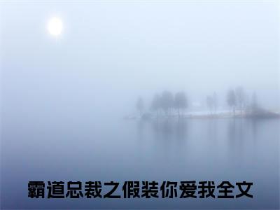 林天歌聂一辰在线阅读（霸道总裁之假装你爱我）全文免费阅读无弹窗大结局_（林天歌聂一辰全文免费阅读）最新章节列表