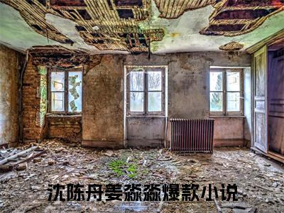 沈陈舟姜淼淼全文免费阅读_（沈陈舟姜淼淼免费阅读无弹窗）沈陈舟姜淼淼最新章节列表笔趣阁（沈陈舟姜淼淼）