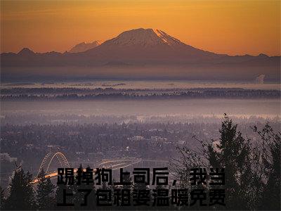 踢掉狗上司后，我当上了包租婆温暖小说（踢掉狗上司后，我当上了包租婆温暖）全文免费阅读无弹窗大结局-踢掉狗上司后，我当上了包租婆温暖最新热点小说