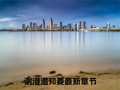 谢澄温知菱全文（槐夏风清）全文免费阅读无弹窗大结局_槐夏风清免费最新章节列表_笔趣阁