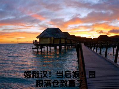 嫁糙汉！当后娘！囤粮满仓致富了沈如云陆九霄完结小说-沈如云陆九霄全文免费阅读无弹窗