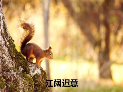 江阔迟意（难逢经年爱意）全文免费阅读无弹窗_江阔迟意全文免费阅读无弹窗最新章节列表笔趣阁