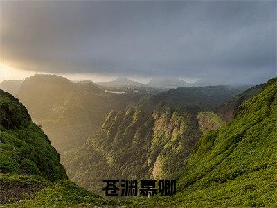风雪无情卿有意（风雪无情卿有意）全文免费阅读无弹窗_苍渊慕卿全文免费阅读最新章节大结局