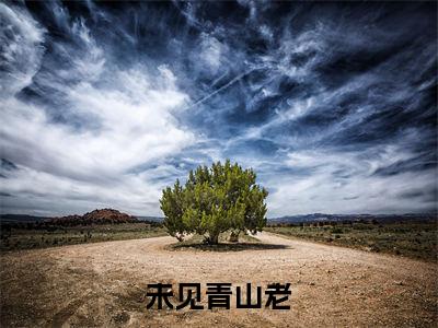 沈棠绾谢知野全文免费阅读无弹窗大结局-未见青山老在线阅读最新章节列表_笔趣阁