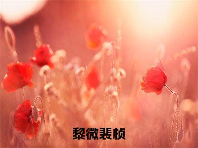 微光不予离人（黎微裴桢）全文免费阅读无弹窗大结局_微光不予离人（黎微裴桢）全文阅读_笔趣阁