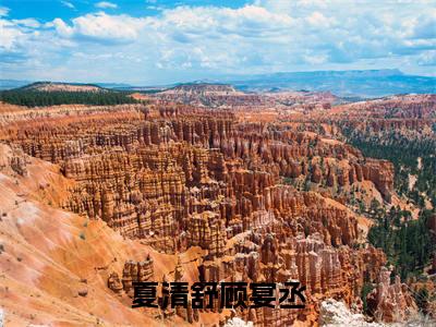夏清舒顾宴丞小说完整版阅读-（春风与他皆遗忘）小说全文免费阅读