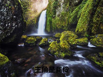 龚伶（师尊偷看我日记杀疯了，我负责躺平）小说全文免费阅读无弹窗大结局_（师尊偷看我日记杀疯了，我负责躺平）龚伶最新章节列表