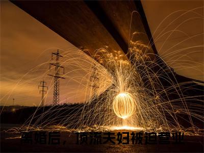 离婚后，顶流夫妇被迫营业全文免费阅读大结局_梁清宴江子衿已完结全集离婚后，顶流夫妇被迫营业大结局小说