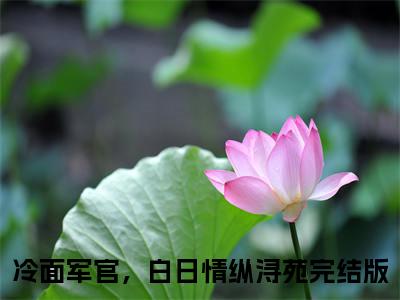 冷面军官，白日情纵（浔苑）全文免费阅读无弹窗大结局_冷面军官，白日情纵免费阅读无弹窗最新章节列表