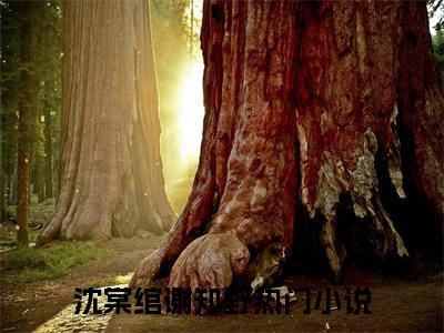 小说未见青山老免费阅读-（沈棠绾谢知野）全文无弹窗阅读