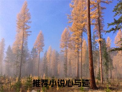 心与迹全文免费（俞辉罗绛）全文免费阅读无弹窗大结局_（心与迹全文免费）