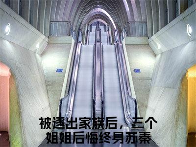 被逐出家族后，三个姐姐后悔终身苏秦（被逐出家族后，三个姐姐后悔终身苏秦）美文赏析完整版-被逐出家族后，三个姐姐后悔终身苏秦好看的小说阅读