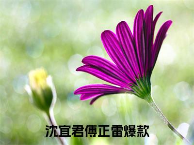 沈宜君傅正雷完整版最新小说大结局-沈宜君傅正雷最新章节免费阅读