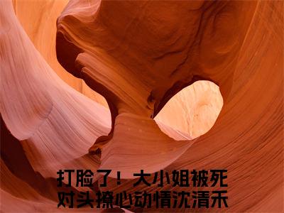 打脸了！大小姐被死对头撩心动情沈清禾热门小说在线阅读 打脸了！大小姐被死对头撩心动情沈清禾全网推荐（打脸了！大小姐被死对头撩心动情沈清禾）全文